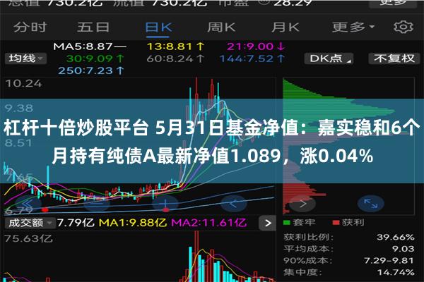 杠杆十倍炒股平台 5月31日基金净值：嘉实稳和6个月持有纯债A最新净值1.089，涨0.04%