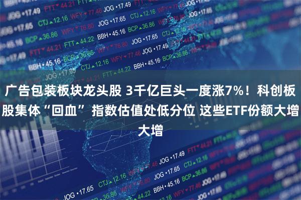 广告包装板块龙头股 3千亿巨头一度涨7%！科创板股集体“回血” 指数估值处低分位 这些ETF份额大增