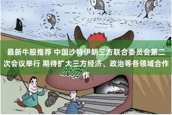 最新牛股推荐 中国沙特伊朗三方联合委员会第二次会议举行 期待扩大三方经济、政治等各领域合作