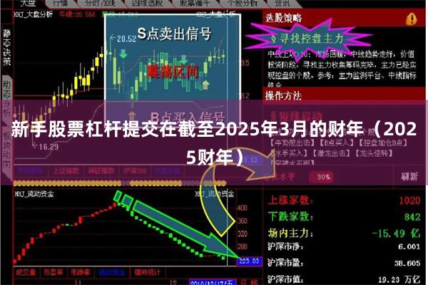 新手股票杠杆提交在截至2025年3月的财年（2025财年）